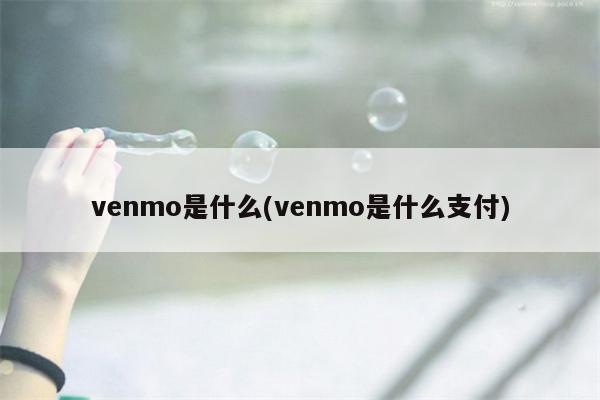 venmo是什么(venmo是什么支付)