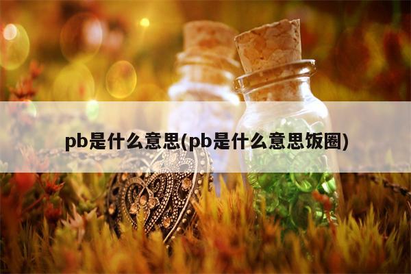 pb是什么意思(pb是什么意思饭圈)