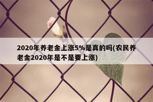 2020年养老金上涨5%是真的吗(农民养老金2020年是不是要上涨)