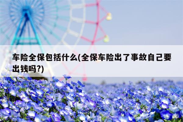 车险全保包括什么(全保车险出了事故自己要出钱吗?)