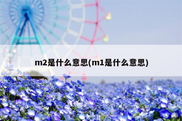 m2是什么意思(m1是什么意思)