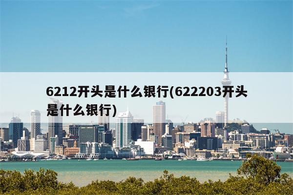 6212开头是什么银行(622203开头是什么银行)