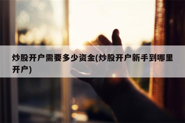 炒股开户需要多少资金(炒股开户新手到哪里开户)