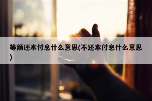 等额还本付息什么意思(不还本付息什么意思)