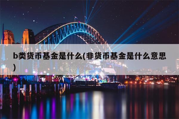 b类货币基金是什么(非货币基金是什么意思)