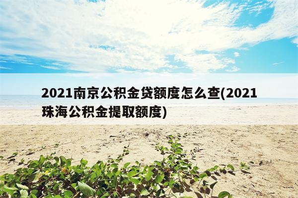 2021南京公积金贷额度怎么查(2021珠海公积金提取额度)