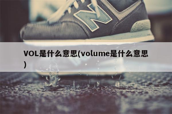 VOL是什么意思(volume是什么意思)