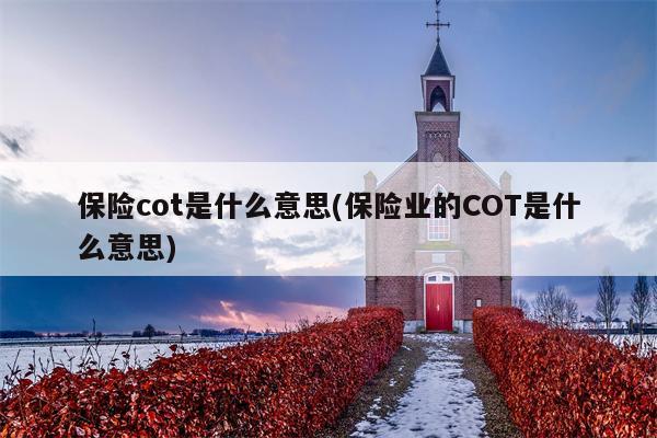 保险cot是什么意思(保险业的COT是什么意思)