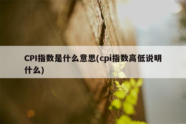 CPI指数是什么意思(cpi指数高低说明什么)