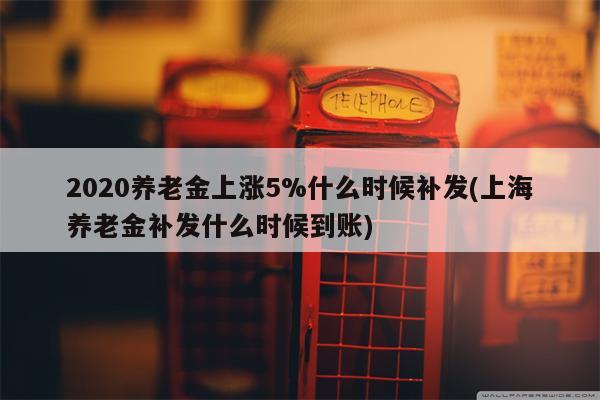 2020养老金上涨5%什么时候补发(上海养老金补发什么时候到账)