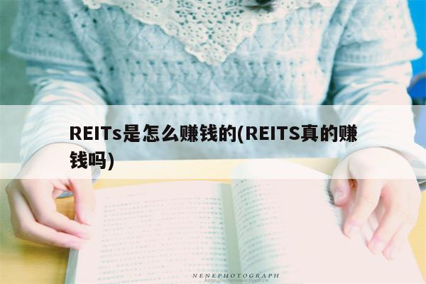 REITs是怎么赚钱的(REITS真的赚钱吗)