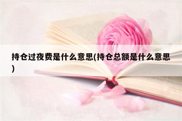 持仓过夜费是什么意思(持仓总额是什么意思)