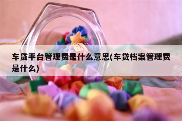 车贷平台管理费是什么意思(车贷档案管理费是什么)