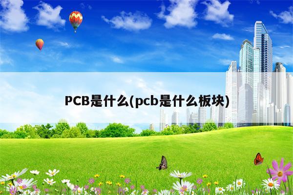 PCB是什么(pcb是什么板块)