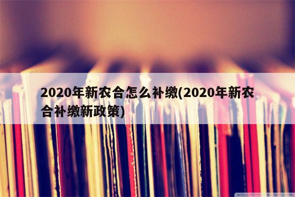 2020年新农合怎么补缴(2020年新农合补缴新政策)