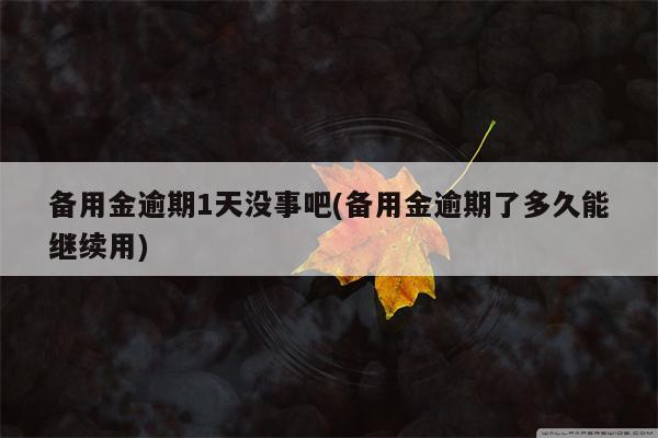 备用金逾期1天没事吧(备用金逾期了多久能继续用)