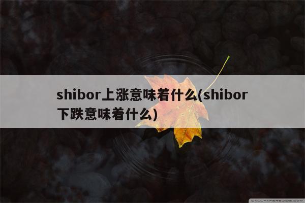 shibor上涨意味着什么(shibor下跌意味着什么)