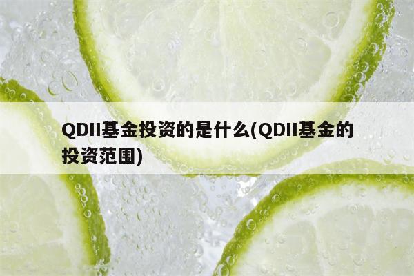 QDII基金投资的是什么(QDII基金的投资范围)