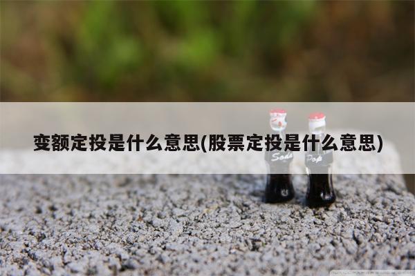 变额定投是什么意思(股票定投是什么意思)