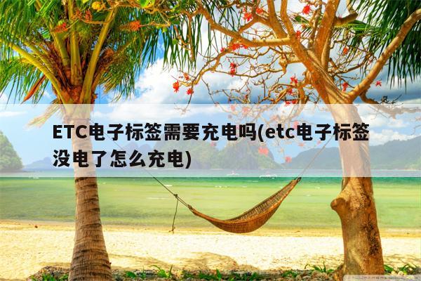 ETC电子标签需要充电吗(etc电子标签没电了怎么充电)