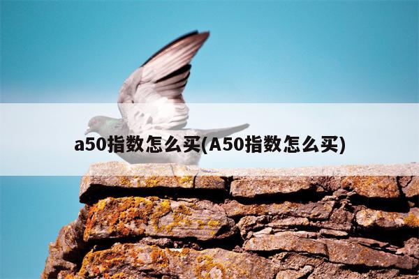 a50指数怎么买(A50指数怎么买)