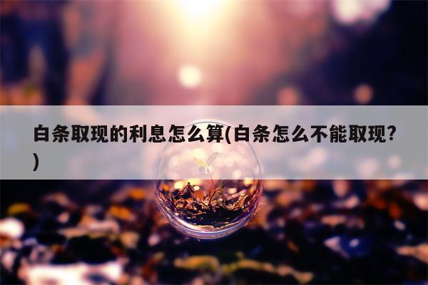 白条取现的利息怎么算(白条怎么不能取现?)