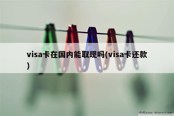 visa卡在国内能取现吗(visa卡还款)