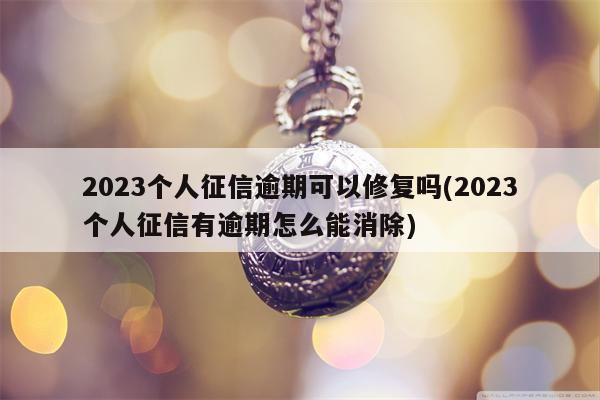 2023个人征信逾期可以修复吗(2023个人征信有逾期怎么能消除)