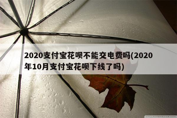 2020支付宝花呗不能交电费吗(2020年10月支付宝花呗下线了吗)