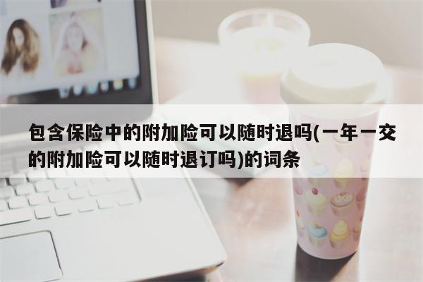 包含保险中的附加险可以随时退吗(一年一交的附加险可以随时退订吗)的词条