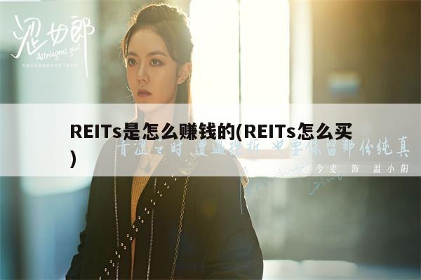 REITs是怎么赚钱的(REITs怎么买)