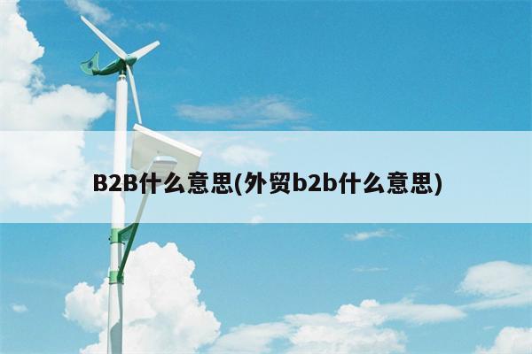 B2B什么意思(外贸b2b什么意思)