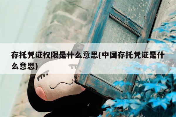 存托凭证权限是什么意思(中国存托凭证是什么意思)