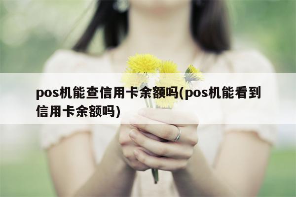 pos机能查信用卡余额吗(pos机能看到信用卡余额吗)