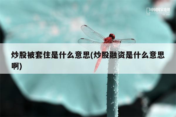 炒股被套住是什么意思(炒股融资是什么意思啊)