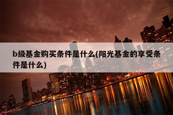 b级基金购买条件是什么(阳光基金的享受条件是什么)